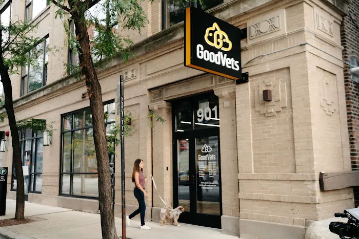 GoodVets Evanston 12