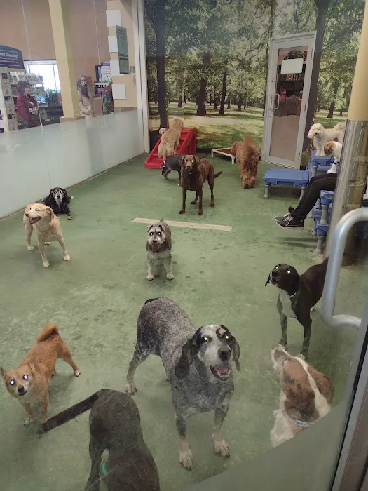 Banfield Pet Hospital 4