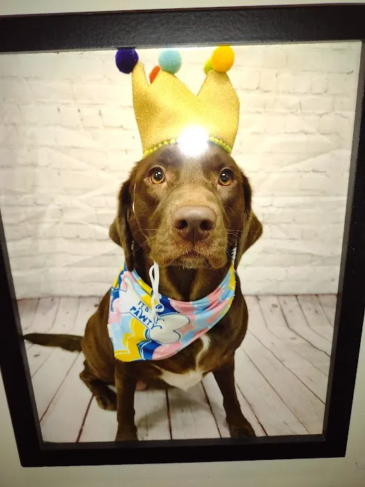 Banfield Pet Hospital 3