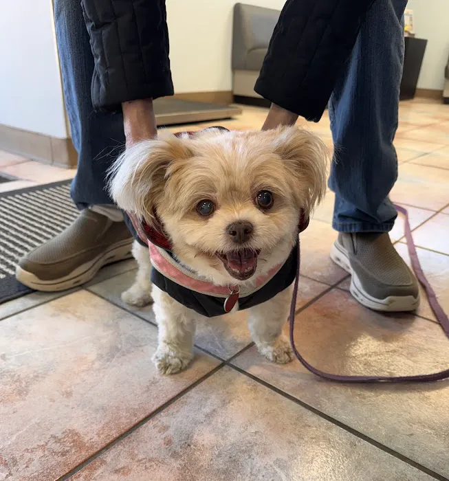 Grand Avenue Animal Hospital 8