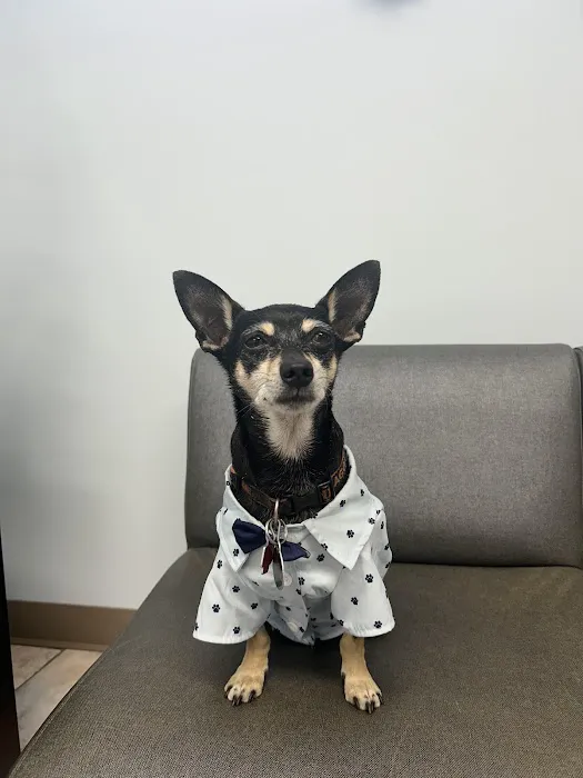 Grand Avenue Animal Hospital 3