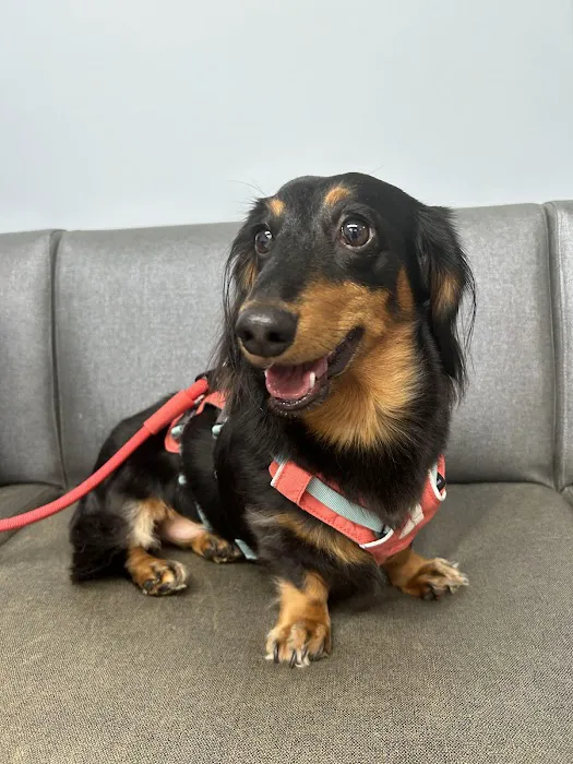Grand Avenue Animal Hospital 9