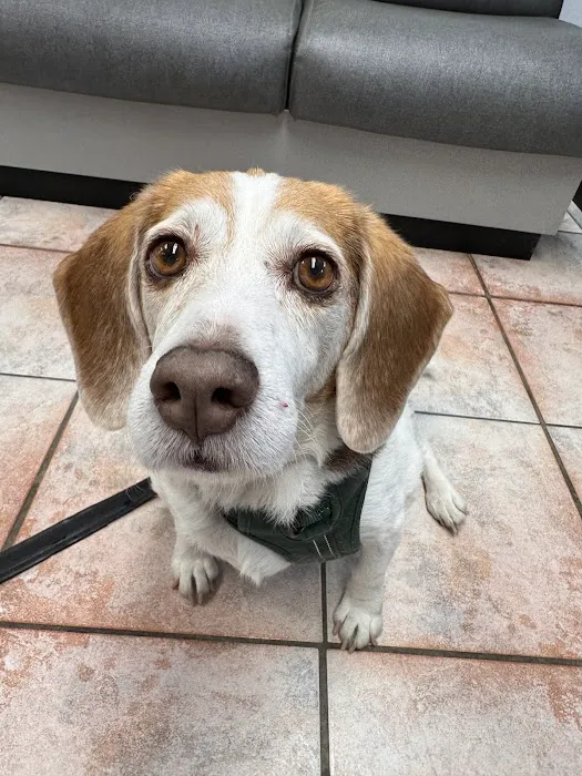Grand Avenue Animal Hospital 5