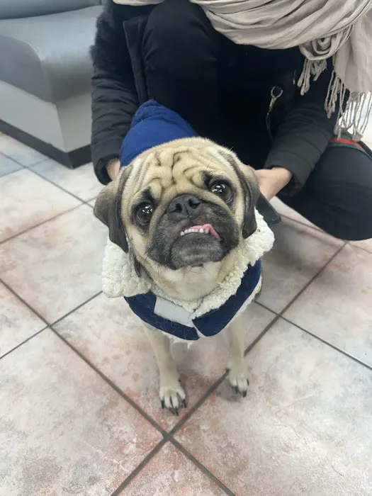 Grand Avenue Animal Hospital 7
