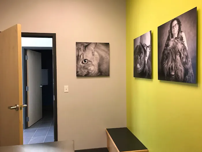 Evanston Animal Hospital 2