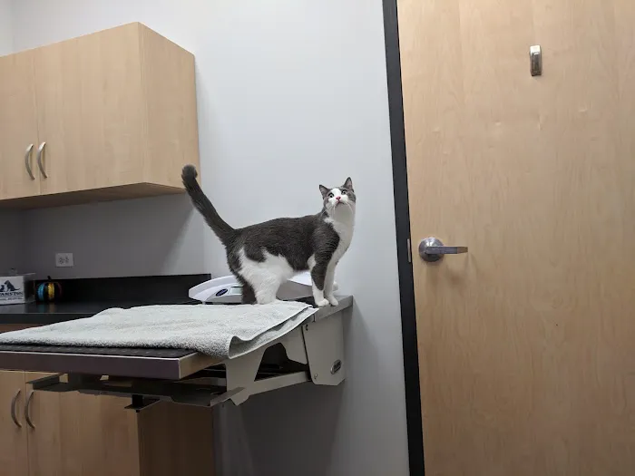 Evanston Animal Hospital 4