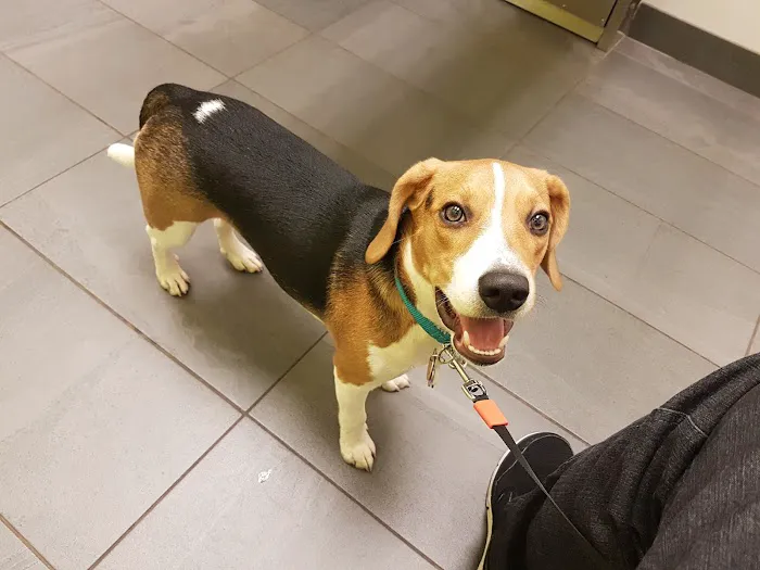 Evanston Animal Hospital 8