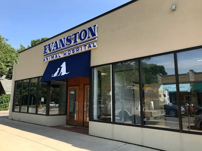 Evanston Animal Hospital 10