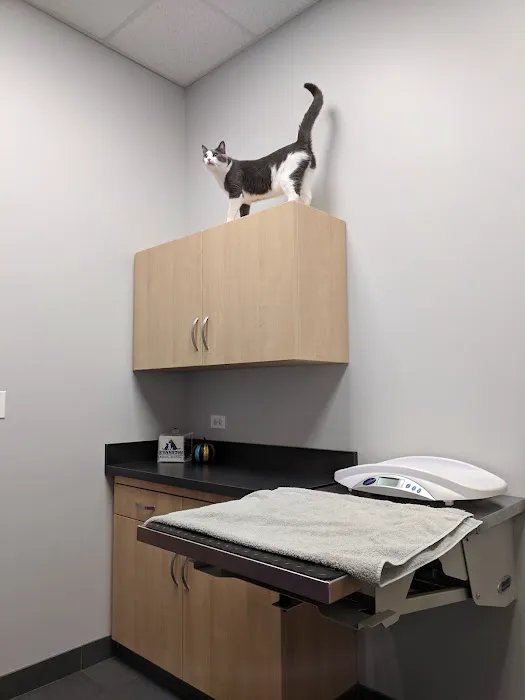 Evanston Animal Hospital 6