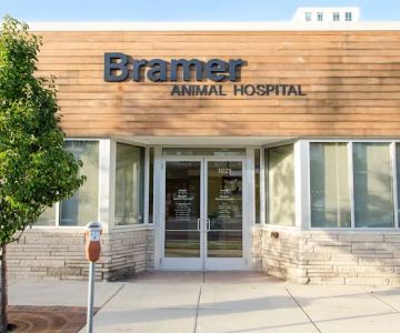 Bramer Animal Hospital