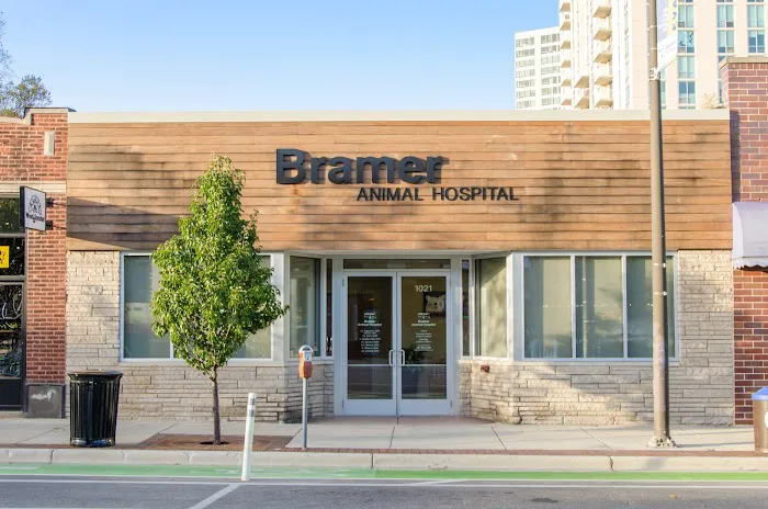 Bramer Animal Hospital 3