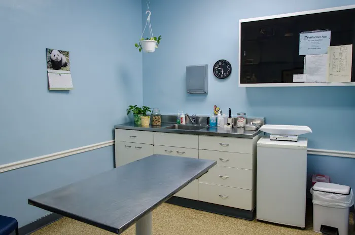 Bramer Animal Hospital 5
