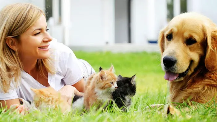 Bramer Animal Hospital 6