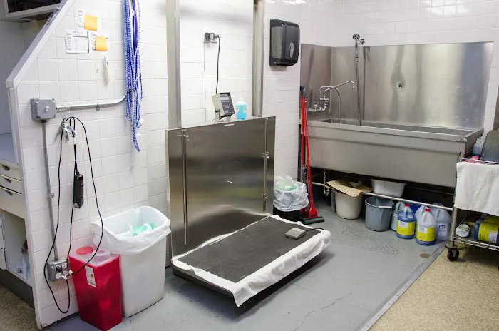 Bramer Animal Hospital 10