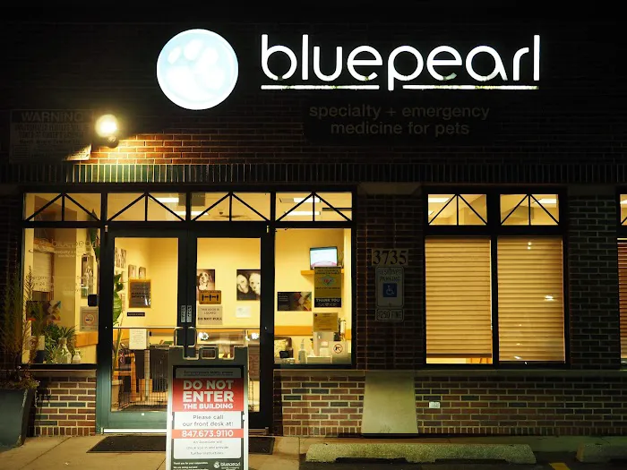 BluePearl Pet Hospital 12