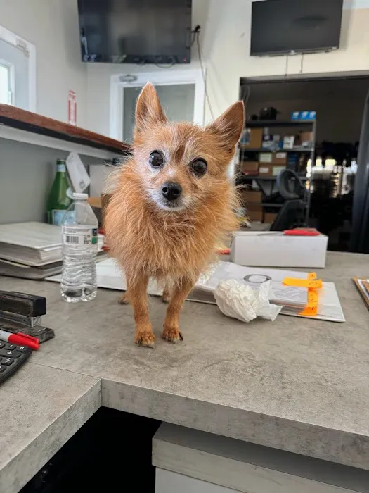 BluePearl Pet Hospital 12