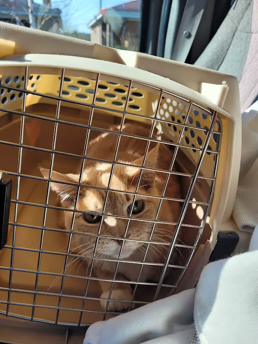 McCormick Animal Hospital 12