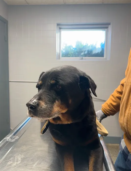 McCormick Animal Hospital 12