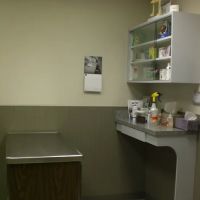 Green Bay Animal Hospital ico