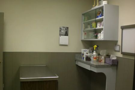 Green Bay Animal Hospital