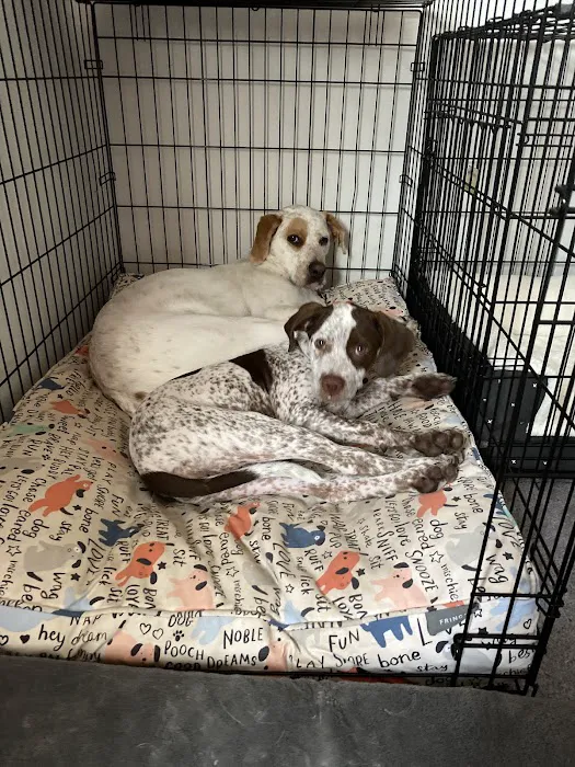 Green Bay Animal Hospital 5