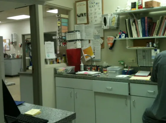 Green Bay Animal Hospital 7