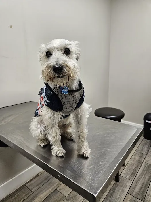 Summit Animal Hospital 12