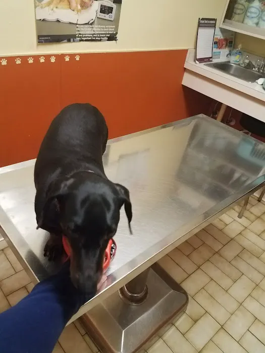 Argo Animal Clinic 12