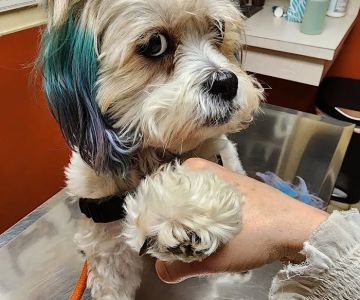 Argo Animal Clinic