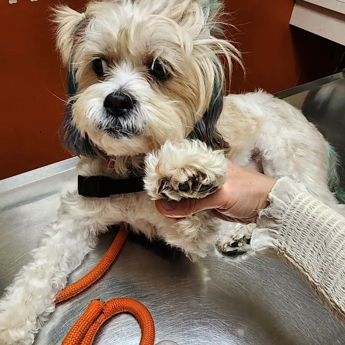Argo Animal Clinic 12