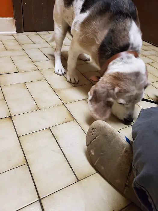 Argo Animal Clinic 12