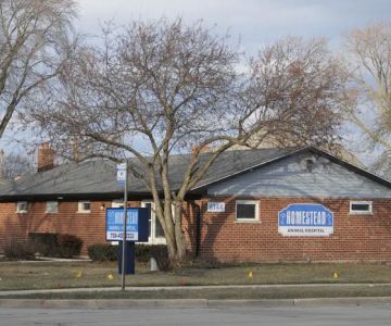 Homestead Animal Hospital
