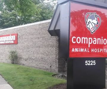 Companion Skokie