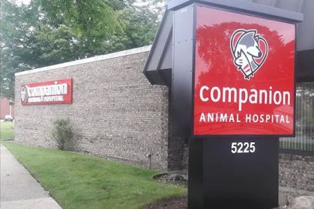 Companion Skokie