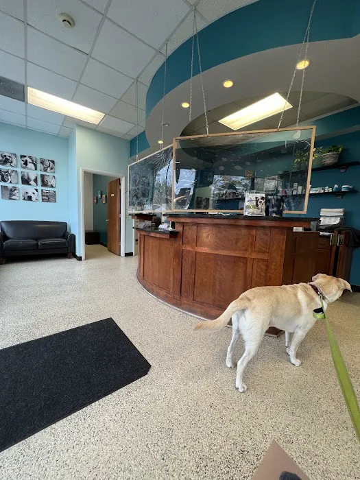 Fox Animal Hospital 12