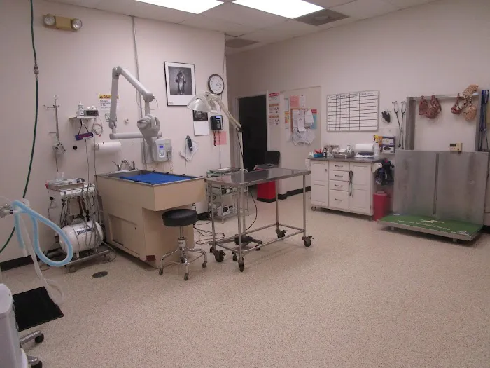 Fox Animal Hospital 12