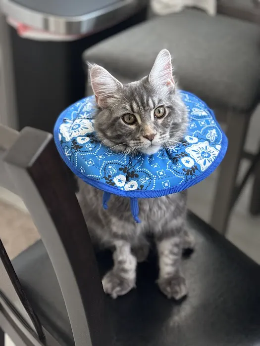 Animal Medical Center 7