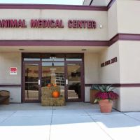 Animal Medical Center ico