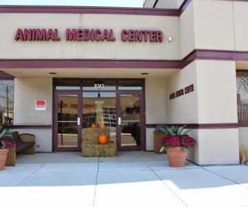 Animal Medical Center