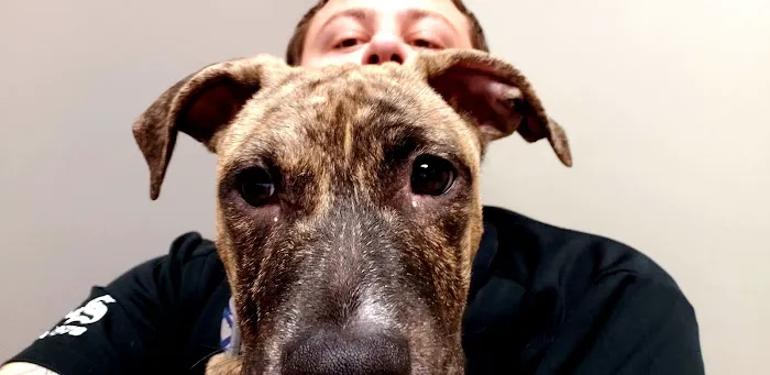 Animal Medical Center 6