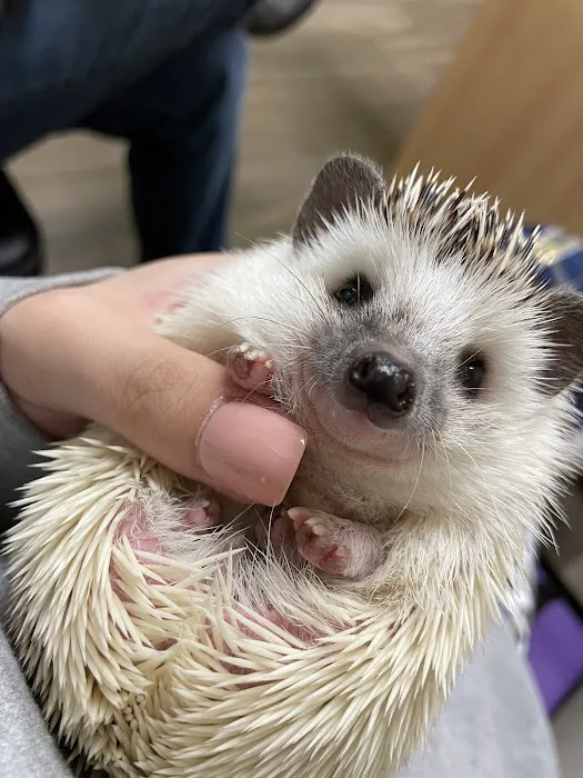 Chicago Exotics Animal Hospital 2