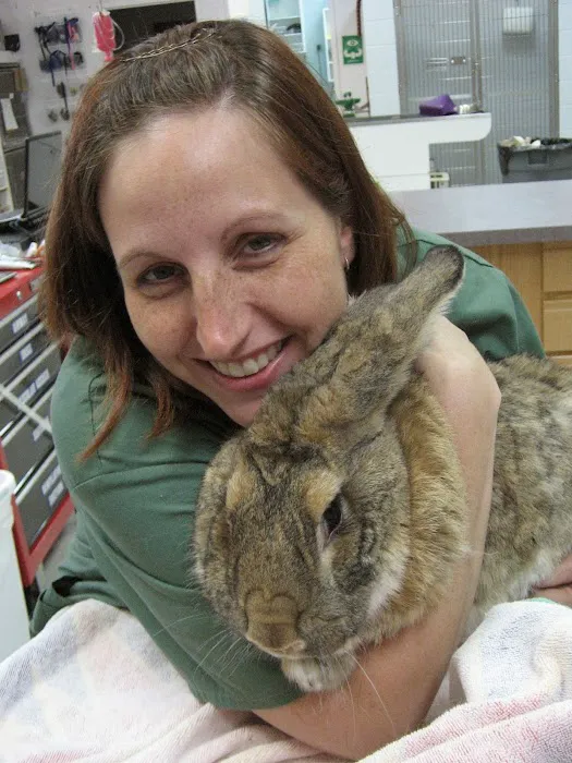 Chicago Exotics Animal Hospital 10