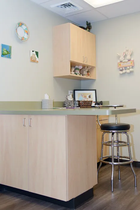 Chicago Exotics Animal Hospital 5
