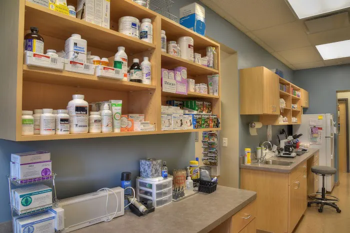 Berglund Animal Hospital 12