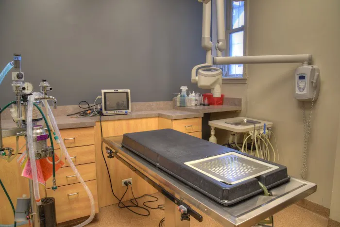 Berglund Animal Hospital 12