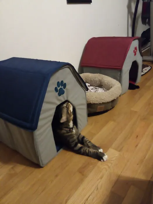 Fair Care Animal Hospital 2