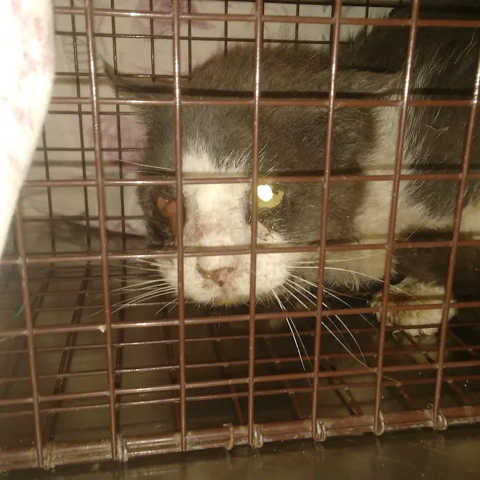 Fair Care Animal Hospital 4