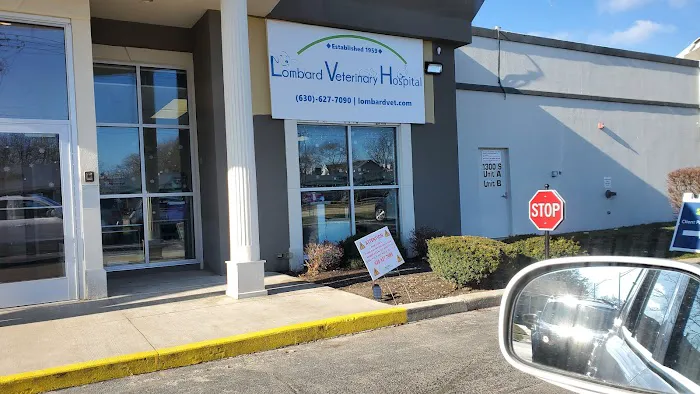 Lombard Veterinary Hospital 12
