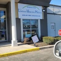 Lombard Veterinary Hospital ico