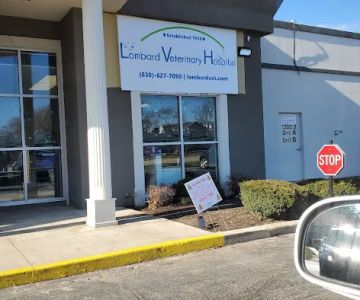 Lombard Veterinary Hospital
